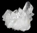 Bargain Quartz Crystal Cluster - Arkansas #30434-2